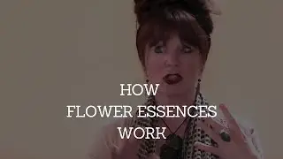 How Flower Essences Work