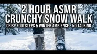 2 Hour ASMR Crunchy Snow Walk | Crisp Footsteps & Winter Ambience for Sleep (No Talking) 2026