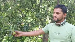 Results Of Calitech in Apple Orchard