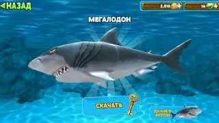 Hungry Shark. Покупаем БЕЛУЮ акулу🦈!!! И начинаем выполнять миссии.