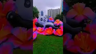 MidAutumn Festival Tour in Aldrich Bay Park Sai Wan Ho Hongkong #midautumnfestival