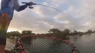Fishing At Pindimar Bay And Tea Gardens.mp4