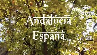 SPAIN - Andalusia - DJI MAVIC AIR - DJI OSMO POCKET
