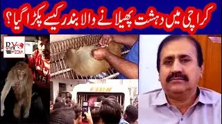 How to rescue monkey | Monkey smuggling in Karachi | Sindh Wildlife Dept | rymediatalks