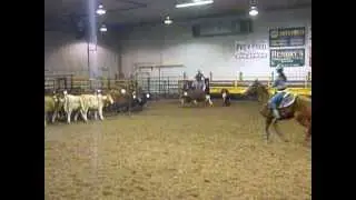 Penning and cattle sorting