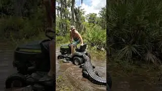 Gator ATTACKS Lawnmower! 🐊 Man's Wild Swamp Ride! 🚜😱