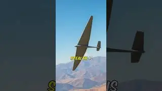 Flying Fish vs. Military Glider: Who Rules the Skies? #shorts
