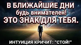 ИНТУИЦИЯ КРИЧИТ: 
