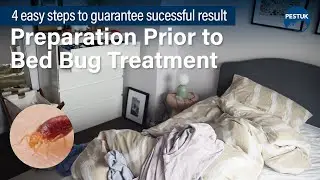 Get Rid of Bed Bug Problems | Easy Preparation for a Successful Treatment
