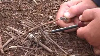 Building a matchless fire in the North Georgia Mountains using a Georgia Firesteel