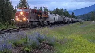 CP 9351 East - CPKC 318 (Grain) - CP Cranbrook Sub - Caithness, British Columbia
