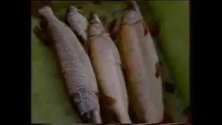 ETRE LANDAIS - HISTOIRE NATURELLE
