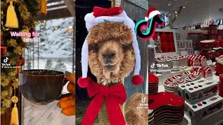 Christmas TikToks You MUST Watch🎅🎄☃️(GOODBYE NOVEMBER🥺❄️) Part 25
