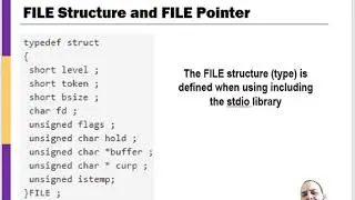 Reading Text Files in C