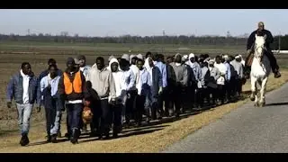 Clip from A Decade Behind Bars: Return to the Farm (National Geographic Channel)