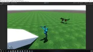 Capture and Shape Shift - Wolf