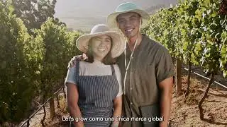 Rovensa Next Chile - El momento de la oportunidad