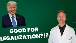 3 reasons Donald Trump will be good for marijuana legalization