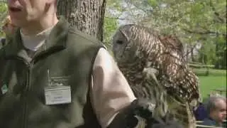 Raptor Release