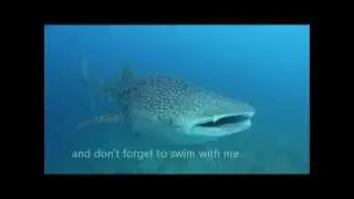 Support the MWSRP and win a holiday at Conrad Maldives.wmv