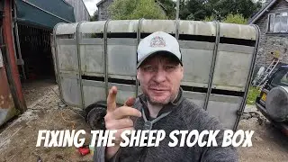 Fixing the sheep stock box cos it all went pear shaped !