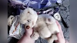 Эти игрушки для тех, у кого все есть.