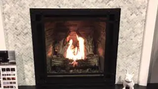 Napoleon STARFIRE HDX35