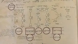 The secret of immortality 