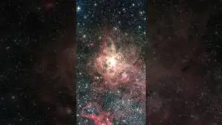 NASA’s Webb Zooms into a Distant Past!