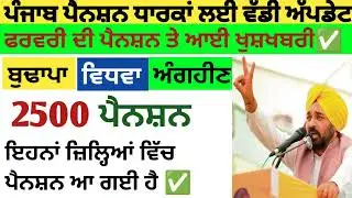 2500 ਪੈਨਸ਼ਨ #2500Pension #pension #bhagwantmann #oldagepension #punjabinews #punjabnaws#punjabpension