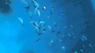 DSCF1637