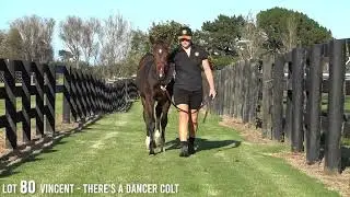 Lot 80 Vincent   There&rsquo;s A Dancer Colt