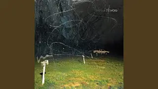 This Stupid World