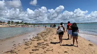 🏝️PRAIA DE COROA VERMELHA NESSE FINAL DE SEMANA E PASSARELA INDÍGENA 