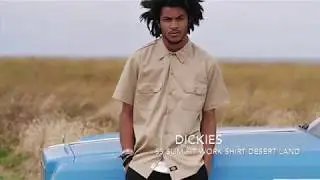 Dickies Clothing Brand - Streetwear Lookbook