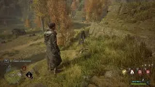 Hogwarts Legacy 2023 - багуля)