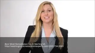 Mold Remediation Sterling VA