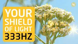Achillea millefolium | 333Hz Protection Healing Meditation | Flower Essence Frequency Healing