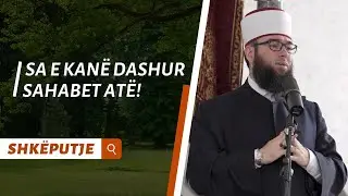 Sa e kan&euml; dashur sahabet at&euml;! (Emocionale)