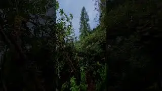 Interesting Spot At Lake Desire