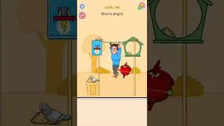 Bird is angry #potitoplay #redplay #shorts