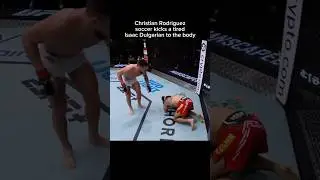Christian Rodriguez soccer kicks a tired Isaac Dulgarian to the body
