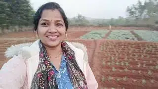 ଆଜି ସବୁ walk ରେ ଚାଲିଲୁ କୋବି ଆଣିବାକୁ #odia #odisha #koraput