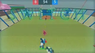 Switch (SSL montage)