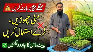 Plant Germination Process in Winter | Complete Guide for Healthy Seedlings