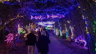 Bellingrath Gardens Christmas Lights 2021