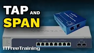 TAP and SPAN - CompTIA A+ 220-1101 &ndash; 4.11