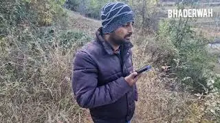 Loot of Green Gold in Neeru Range Compartment No 57 Dandi forest division Bhaderwah