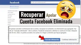 C&oacute;mo Recuperar un Facebook ELIMINADO &iquest;Es posible? Desde el m&oacute;vil o PC