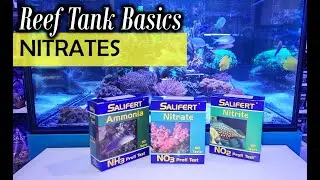 Lets Talk About Aquarium Nitrates: Explained & Testing